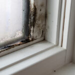 Window Frame Damage