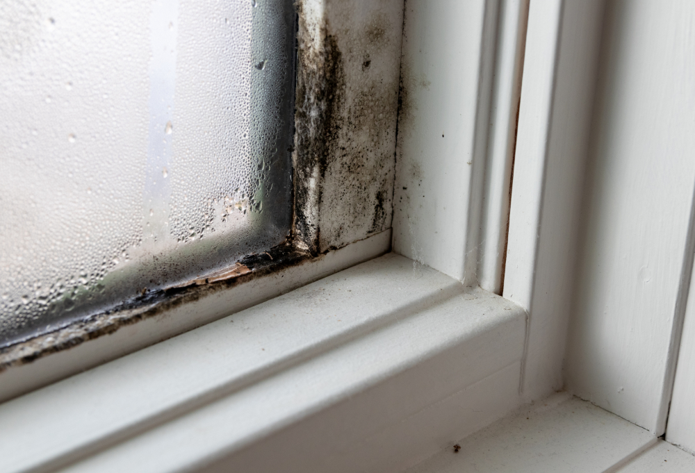 Window Frame Damage